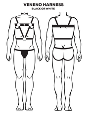 Veneno Harness