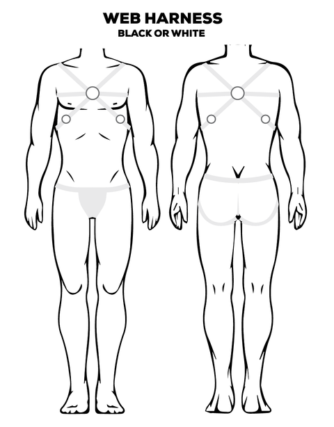 Web Harness